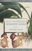 Window Gods - Truth Sleeps in the Seed (Paperback) - Sally Morrison Photo