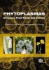 Phytoplasmas - Genomes, Plant Hosts and Vectors (Hardcover) - P G Weintraub Photo