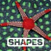 Shapes (Hardcover) - Judith Nouvian Photo