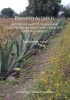 Rainfed Altepetl - Modeling Institutional and Subsistence Agriculture in Ancient Tepeaca, Mexico (Paperback) - Aurelio Lopez Corral Photo