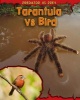 Tarantula Vs Bird (Paperback) - Mary Meinking Photo