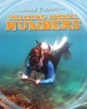 Tracking Animal Numbers (Paperback) - Tom Jackson Photo