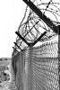 Razor Wire Prison Fence - Blank 150 Page Lined Journal for Your Thoughts, Ideas, and Inspiration (Paperback) - Unique Journal Photo