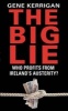 The Big Lie - Who Profits from Ireland's Austerity? (Paperback) - Gene Kerrigan Photo