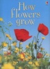 How Flowers Grow (Hardcover, New edition) - Emma Helbrough Photo