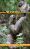 Sloths Pocket Monthly Planner 2017 - 16 Month Calendar (Paperback) - David Mann Photo