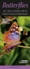 Butterflies of the Florida Keys - A Guide to Common & Notable Species (Poster) - Mark C Minno Photo