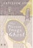 The Mirror Image Ghost (Paperback, Main) - Catherine Storr Photo