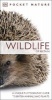 RSPB Pocket Nature Wildlife of Britain (Paperback) - Dk Photo