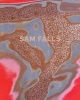 Sam Falls (Hardcover) - Laura Copelin Photo