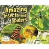 Amazing Insects and Spiders (Paperback) - Kelly Gaffney Photo