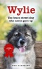 Wylie - The Brave Street Dog Who Never Gave Up (Paperback) - Pen Farthing Photo