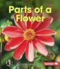 Parts of a Flower (Paperback) - Candice Ransom Photo