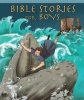 Bible Stories for Boys (Hardcover) - Peter Martin Photo