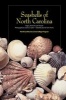 Seashells of North Carolina (Spiral bound) - Hugh J Porter Photo