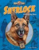 Sherlock - A Police Dog Story (Hardcover) - Meish Goldish Photo