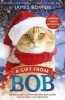 A Gift from Bob - How a Street Cat Helped One Man Learn the Meaning of Christmas (Paperback) - James Bowen Photo