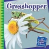 Grasshopper (Paperback) - Susan Heinrichs Gray Photo