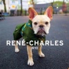 Rene-Charles: NYC - Little Bulldog in the Big City (Hardcover) - Evan Cuttic Photo