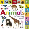 My First Animals - Let's Squeak and Squawk! (Board book) - Dawn Sirett Photo