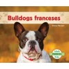 Bulldogs Franceses (French Bulldogs ) (Spanish, Hardcover) - Grace Hansen Photo