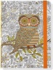 Owl Coloring Journal (Hardcover) - Inc Peter Pauper Press Photo