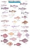 Northwestern Coastal Fish (Poster) - Craig MacGowan Photo