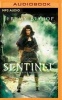 The Sentinel (MP3 format, CD) - Jeremy Bishop Photo