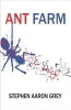 Ant Farm - A Novel about What's Bugging Society (Paperback) - Stephen Aaron Grey Photo