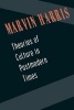 Theories of Culture in Postmodern Times (Paperback) - Marvin Harris Photo