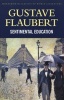 A Sentimental Education (Paperback, New edition) - Gustave Flaubert Photo