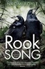 Rook Song (Paperback) - Naomi Foyle Photo