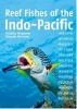 Reef Fishes of the Indo-Pacific (Paperback) - Matthias Bergbauer Photo