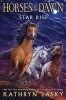 Star Rise (Horses of the Dawn #2) (Paperback) - Kathryn Lasky Photo