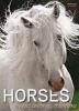 Horses - Breeds, Cultures, Traditions (Hardcover) - Susanna Cottica Photo