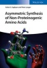 Asymmetric Synthesis of Non-Proteinogenic Amino Acids (Hardcover) - Peter Langer Photo