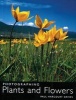 Photographing Plants and Flowers (Paperback) - Paul Harcourt Davies Photo