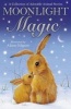 Moonlight Magic (Paperback) - Various Authors Photo