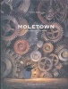 Moletown. La Ciudad de Los Topos (Spanish, Hardcover) - Torben Kuhlmann Photo