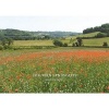 Chiltern Landscapes (Hardcover, Small ed) - Doug Kennedy Photo