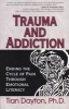 Trauma and Addiction - Ending the Cycle of Pain through Emotional Literacy (Paperback) - Tian Dayton Photo