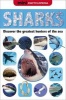 Sharks (Hardcover, annotated edition) - Sarah Creese Photo