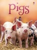 Pigs (Hardcover) - James Maclaine Photo