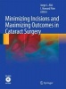 Minimizing Incisions and Maximizing Outcomes in Cataract Surgery (Hardcover) - Jorge L Alio Photo