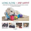 Home Alone and Happy! - Essential Life Skills for Preventing Separation Anxiety in Dogs and Puppies (Paperback) - Kate Mallatratt Photo