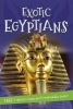 It's All About... Exotic Egyptians (Paperback) - Kingfisher Books Photo