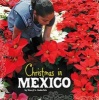 Christmas in Mexico (Hardcover) - Cheryl L Enderlein Photo