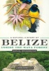 A Natural History of Belize - Inside the Maya Forest (Hardcover) - Samuel Bridgewater Photo