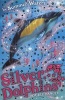 Double Danger (Silver Dolphins, Book 4) (Paperback) - Summer Waters Photo