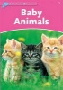 Dolphin Readers Starter Level: Baby Animals (Paperback) - Richard Northcott Photo